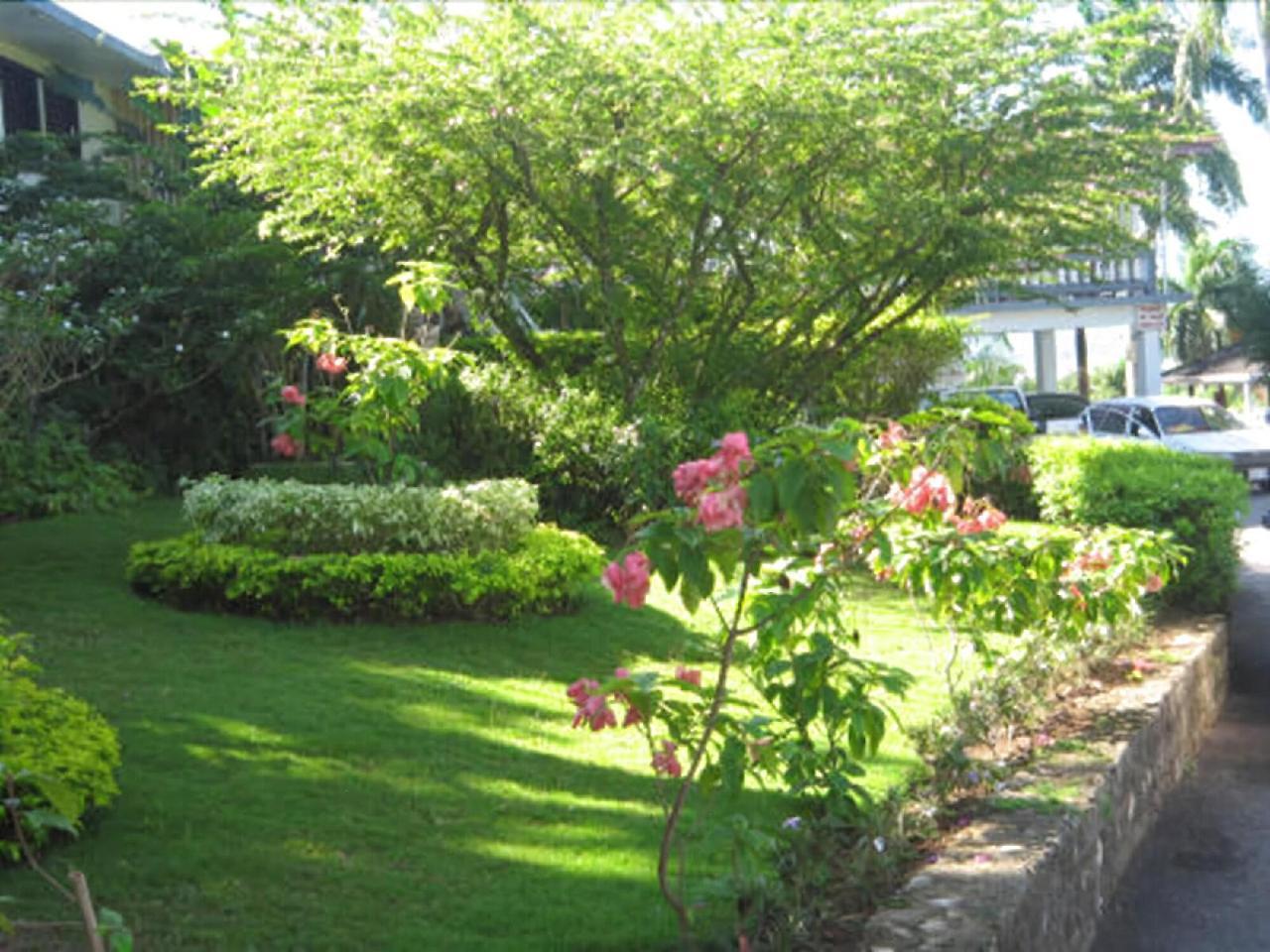 Paradise Brandon Hill Guest House Montego Bay Esterno foto