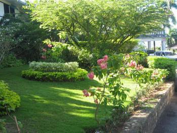 Paradise Brandon Hill Guest House Montego Bay Esterno foto